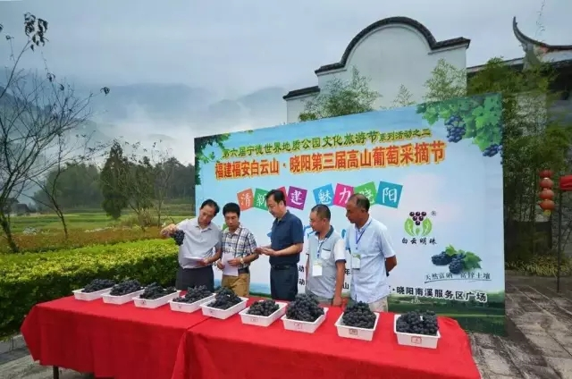 图片110.png