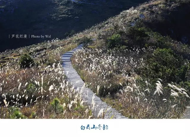 图片20.png