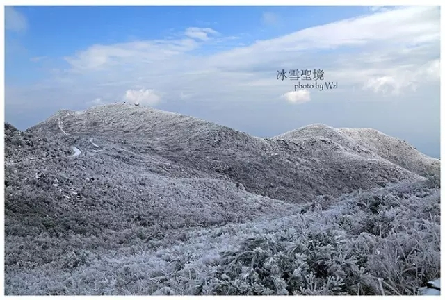 图片25.png