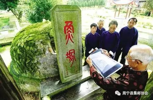 图片31.png