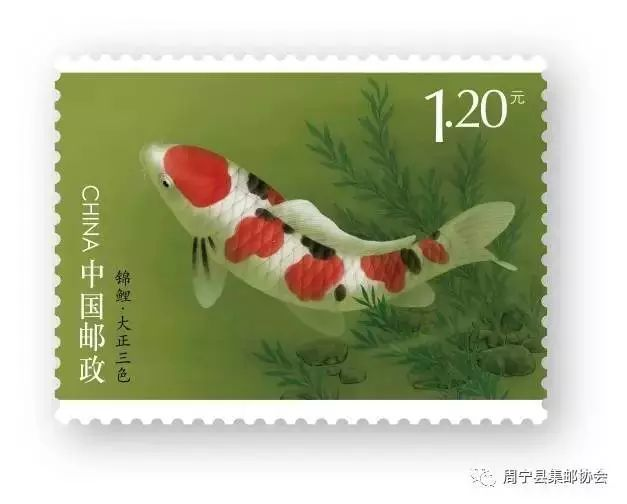 图片34.png