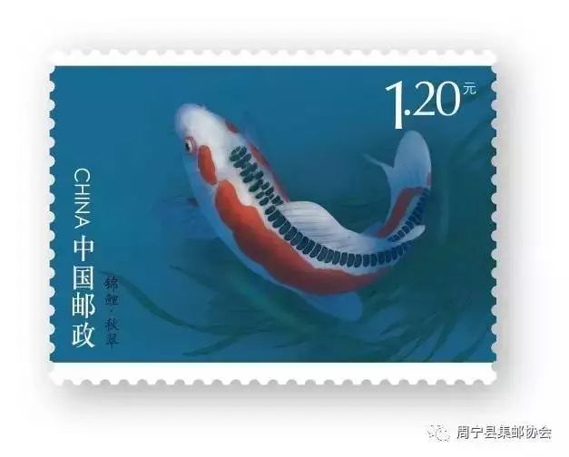 图片36.png