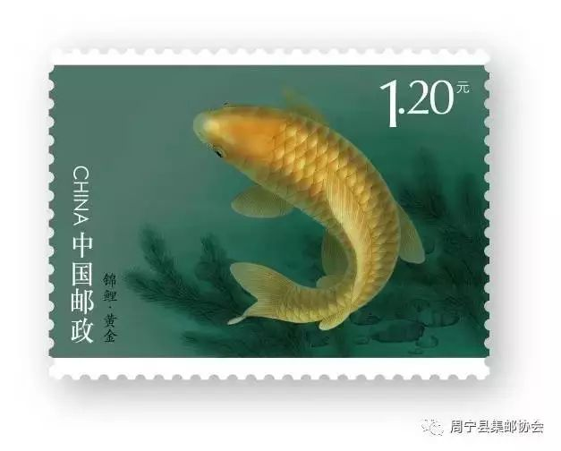 图片37.png