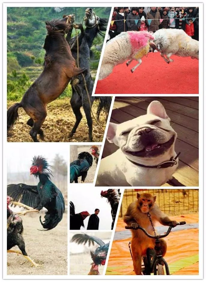 图片114.png