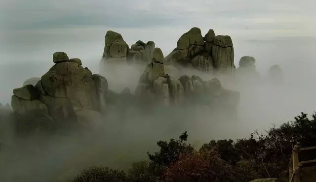 图片221.png