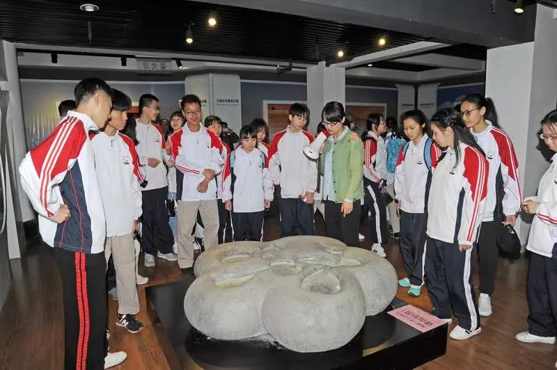 图片236.png