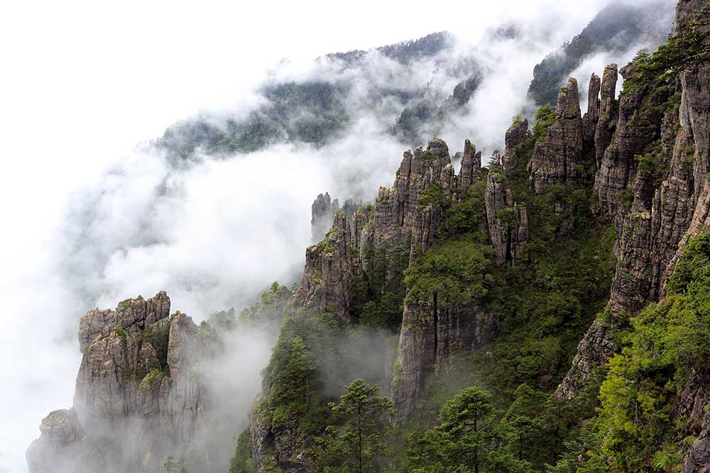 神农谷石林 (1).jpg