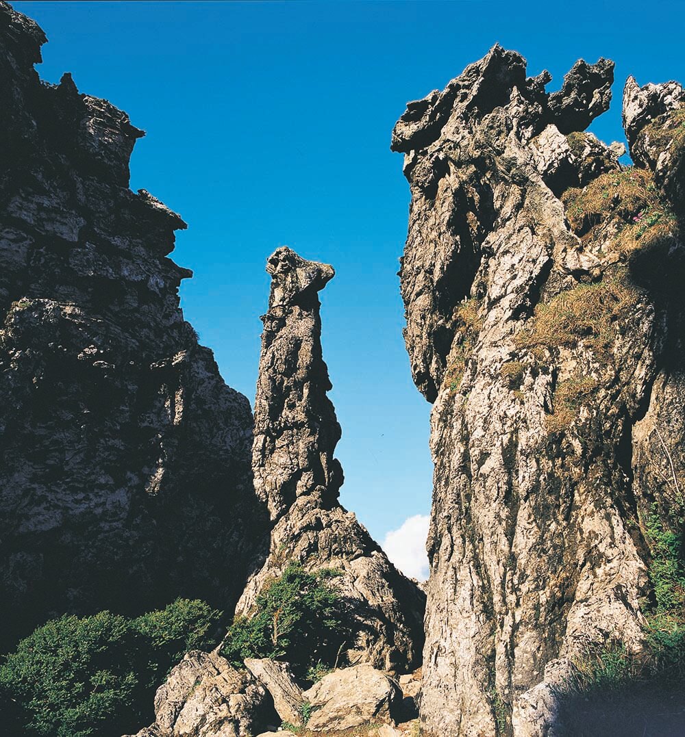 神农架板壁岩石林.jpg