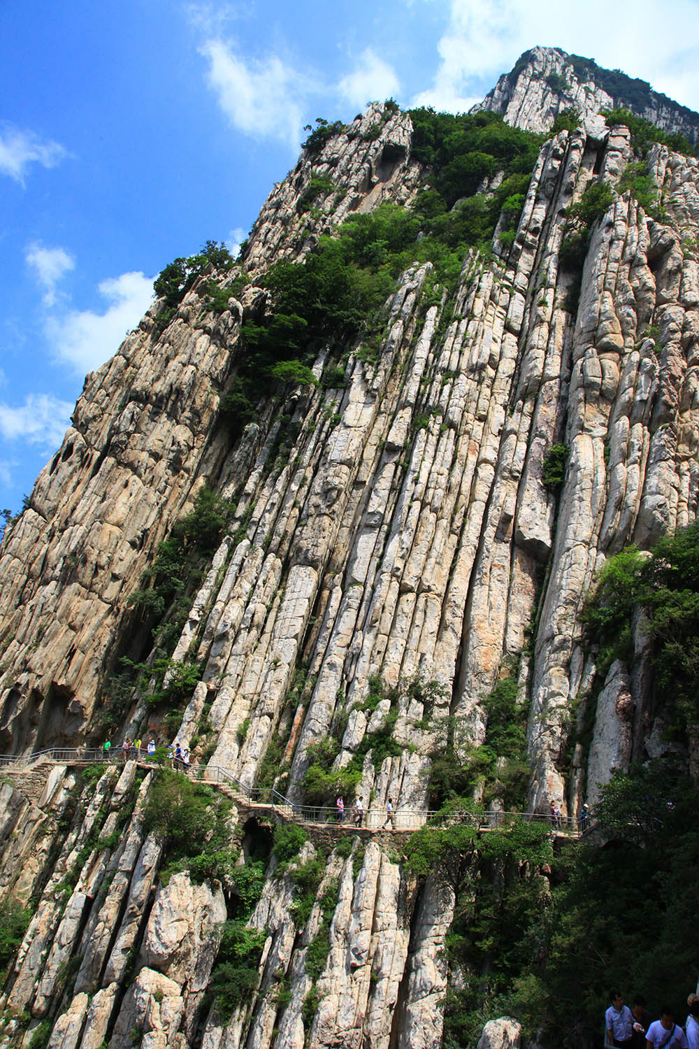 石英岩石林.jpg