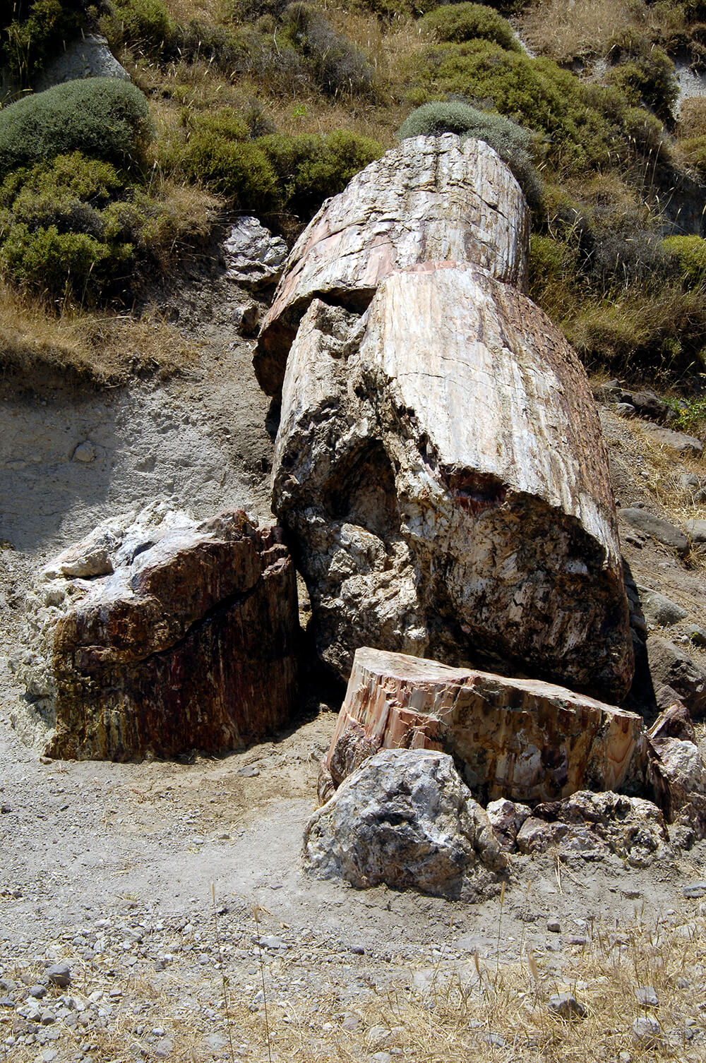 _DSC0911.jpg