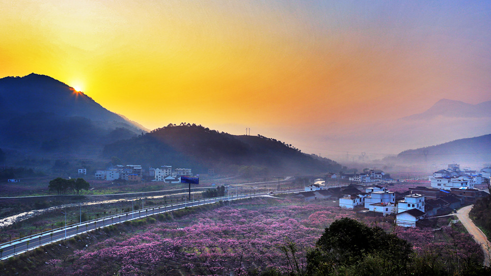 第六届桃花节 (1).jpg