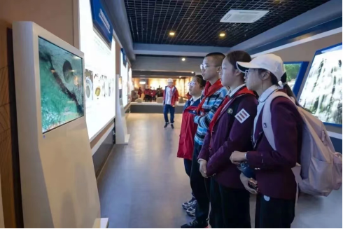 图片.png