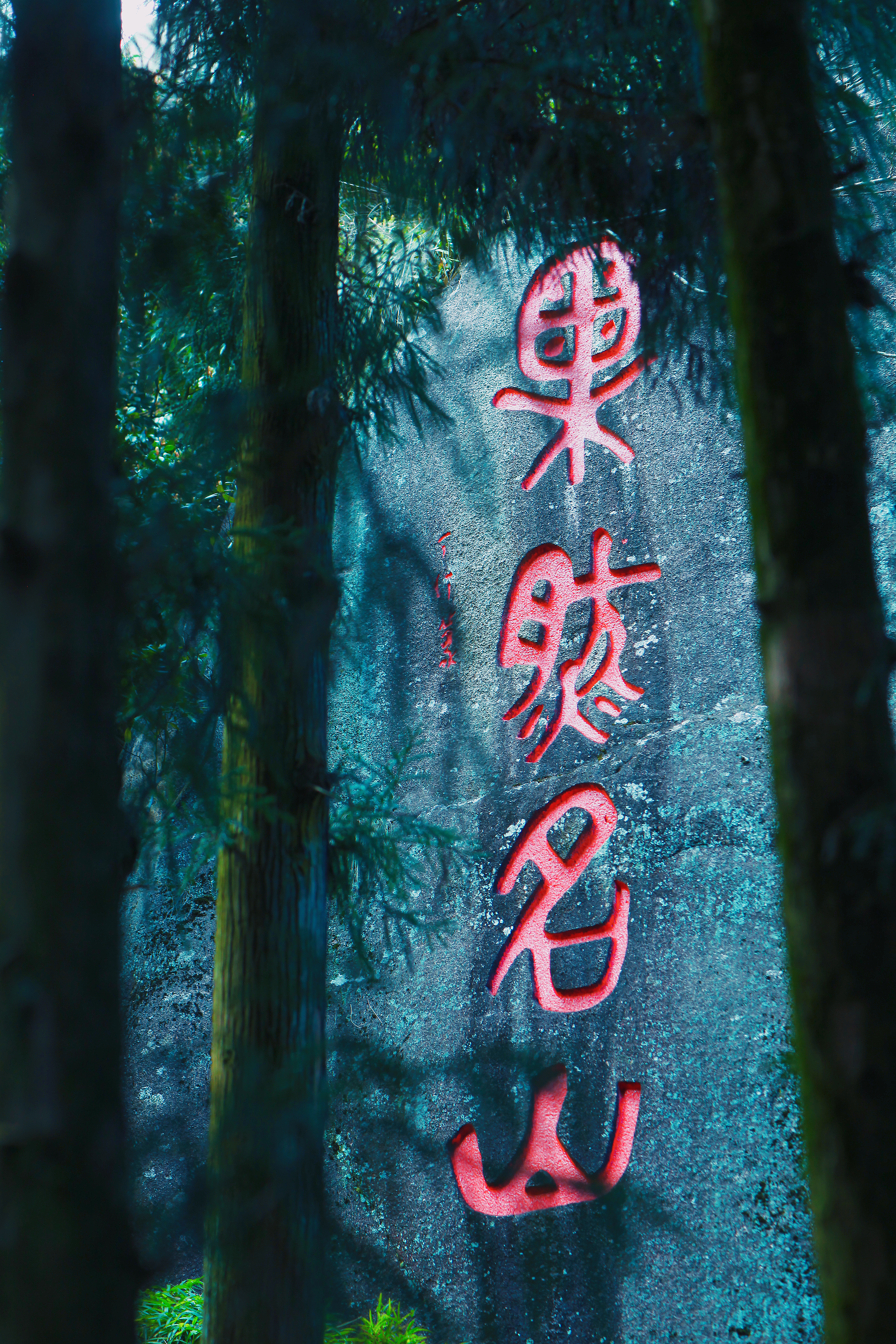 果然名山 林秀链.jpg